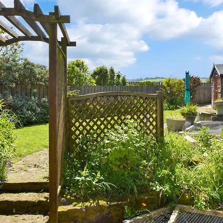 Albion * וויטבי